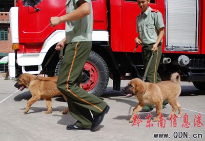 ���ᡰ��Ȯ�����I����  ���DƬ����