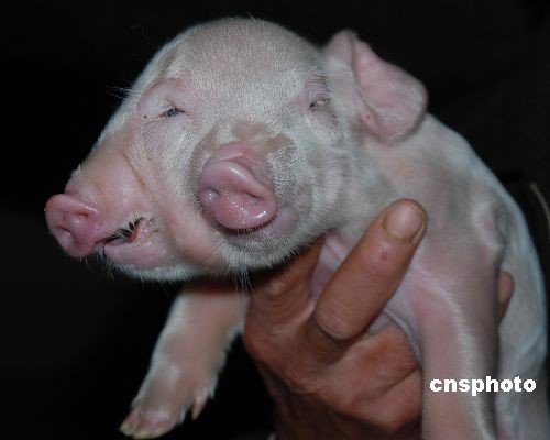 �M�D��4�qĸ�i�a���p�^С�i���ۃ���