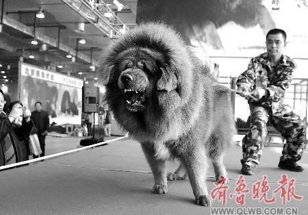 ����˳�3000�fԪ��r(�D)