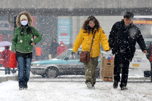 ���������B�m���Ɉ���ѩ(�M�D)