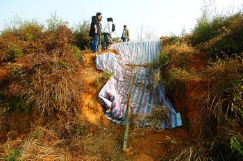 �Lɳ�h����Ĺ���I�IĹ�\���M����Ĺ��(�D)