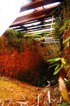 �Lɳ�h����Ĺ���I�IĹ�\���M����Ĺ��(�D)