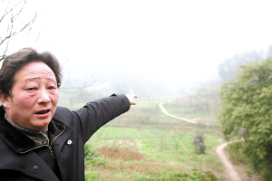 �Ϸ�����O�ӻ����K���������������(�M�D)