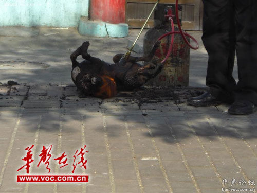 �W�Ѱl���ز��^���֟����(�M�D)