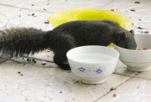 С����ÿ��ɴ��M������в��(�M�D)