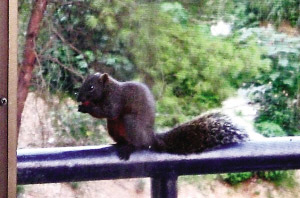 С����ÿ��ɴ��M������в��(�M�D)