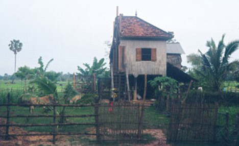 �����x��󌢷���䏳Ƀɰ�ƽ��(�D)