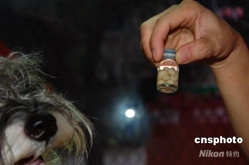 �D�ģ�С��ιʳ�̷��L��ʮ�w�Yʯ