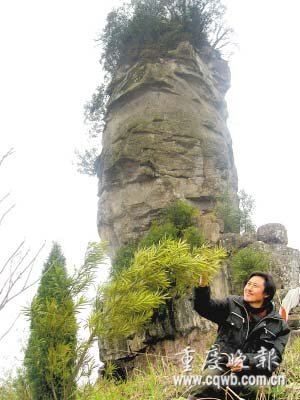 ���������۱�����ɽ�N�� ���ް��Ҷ�Ѩ(�M�D)