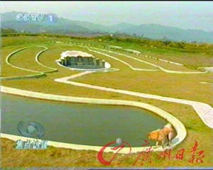 ��֧������Ȧ��24����3�Ӻ��AĹ��(�M�D)