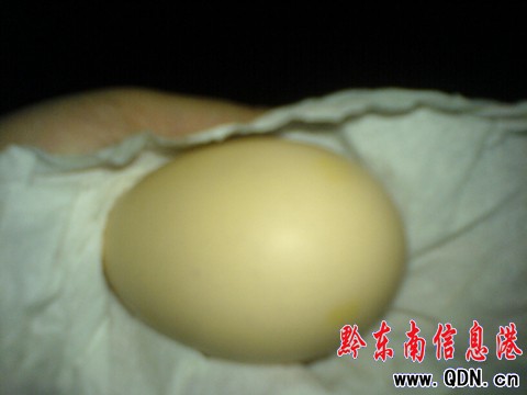 ��������ϡ���� �B(y��ng)ֳ���﹫�u���µ����D��