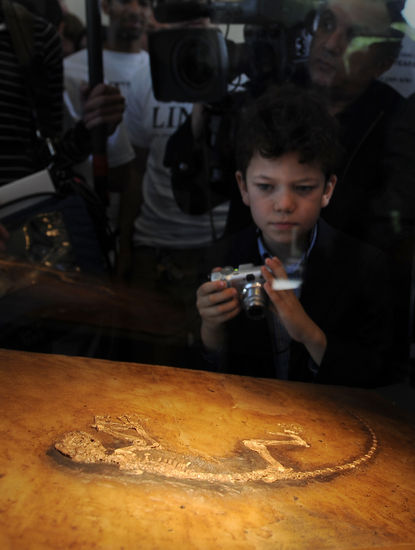 �M�D������չ��4700�f��ǰ�����`�L���ﻯʯ