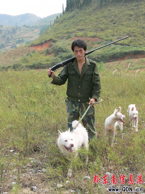 ��Ȯ˾��w���A��������˾Ȯ