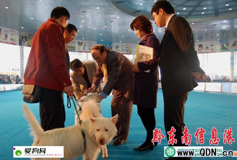 ��Ȯ˾��w���A��������˾Ȯ