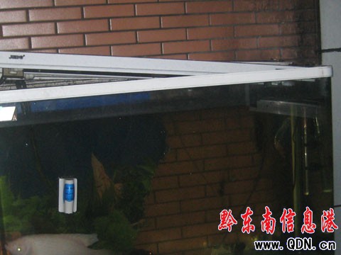 늾���·���l(f��)��ͥʧ�� �����ٱ����ٓ��