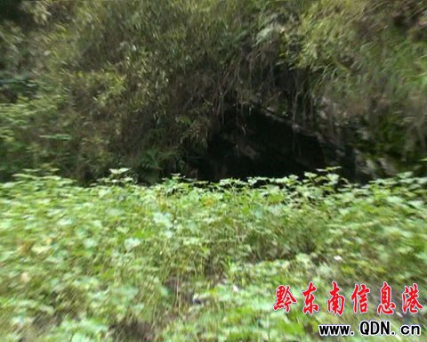 ����h�l(f��)�F(xi��n)����ġ�ʯ�^�������D��