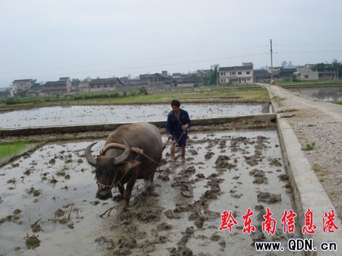 ���c��ţԇ�ȸߡ����Sƽ�r�����r�C����