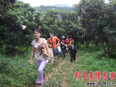 �_���h��һ�l���˽��������r���������D��