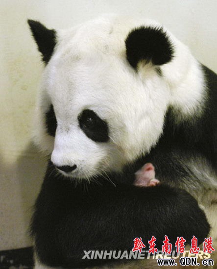 �M�D��̩�������f̩㏞���؈��������