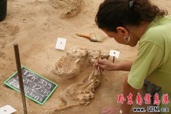 �M�D�����ŌW��������۰l��Ԫ6���oʬ��