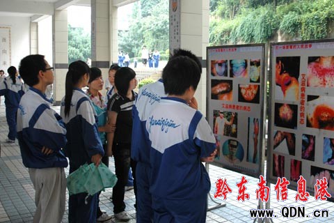 �P�ﾯ�����������MУ�@���D��