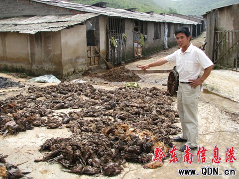 ��׷ۙ������ϯ���B�u�� 4�fֻ�u������