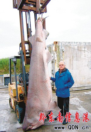 ��ʿ70�q�ο͆θ����480�������~(�D)