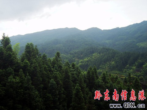 �\���h��կ�壺�l�����εĺ�ȥ̎���D��