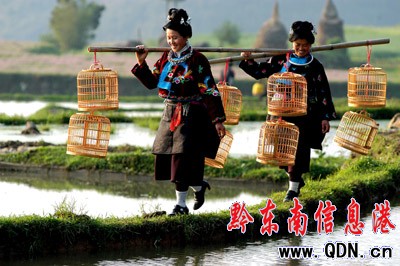 ��կ�����壺�B�\֮����Ǭ�����M�D��