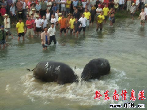 ��ɽ�e�k���c���¡���ţϵ�л�ӣ��M�D��