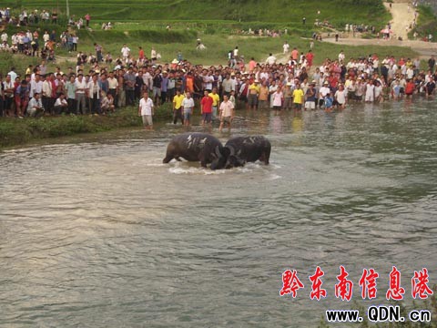 ��ɽ�e�k���c���¡���ţϵ�л�ӣ��M�D��