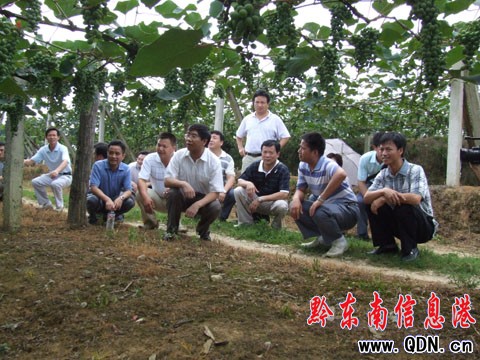 �T���ĵ�ʩ���h�{(di��o)�У��M�D��