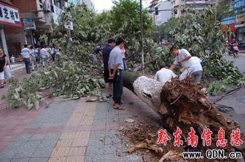 15.9��/����L�E�� 4�����ش���ZȻ���£��D��