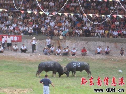 �P�ﶷţِ���_��Ļ ���ʽ�����ݑc�I(xi��n)�Y���D��