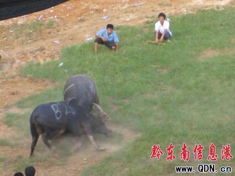 �P�ﶷţِ���_��Ļ ���ʽ�����ݑc�I(xi��n)�Y���D��