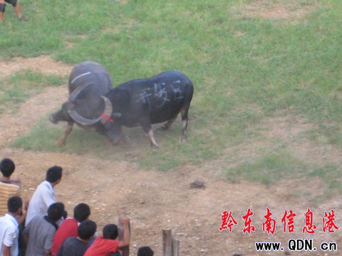 �P�ﶷţِ���_��Ļ ���ʽ�����ݑc�I(xi��n)�Y���D��