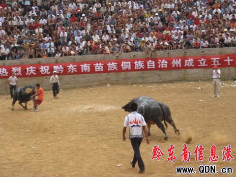 ǭ�|������ţ��δ�^��݆ �~�ʡ��Ϳۡ��Z�����D��