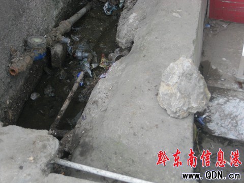 �P�����һͣ܇������͵ˮ ���{�飨�D��