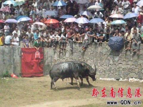 �����Ů�������� �r(n��ng)��չչ�F(xi��n)���L(f��ng)���D��