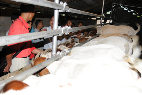 �����_�r��Ӌ�����ɑ����¸���򞽻����