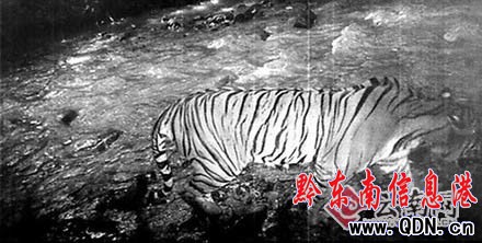 ���ϱ��o�^Ұ���ϻ������C�����ʳ