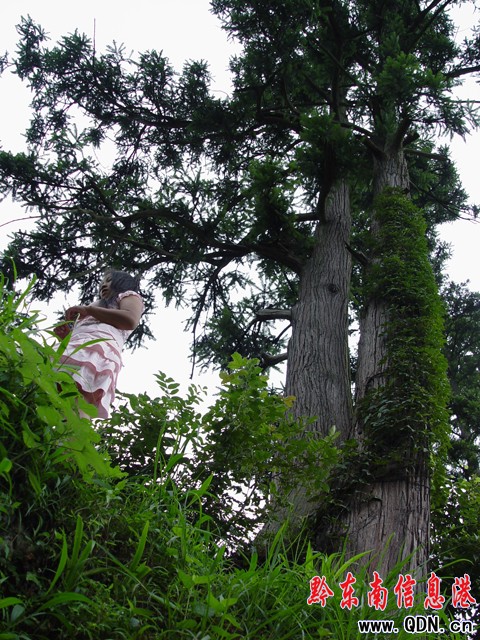 �ٚq��ɼ�������[����ɽ��կ�ԣ��M�D��