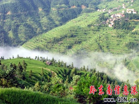 ��ɽ��կ�@�F�F�����^���M�D��