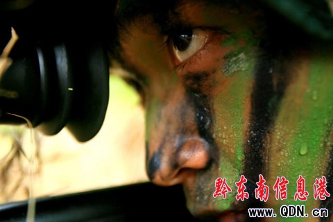 �����Ї��������Ӗ�����M�D��