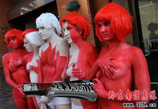 �M�D�����ﱣ�o�M���ɆT���w���h�C������