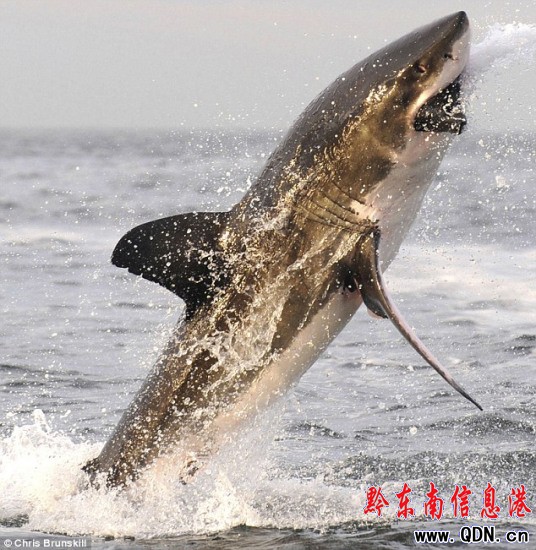 ������ǽ�(j��ng)������ˮ��Qҕ�C����ٔ�(sh��)���~֮һ