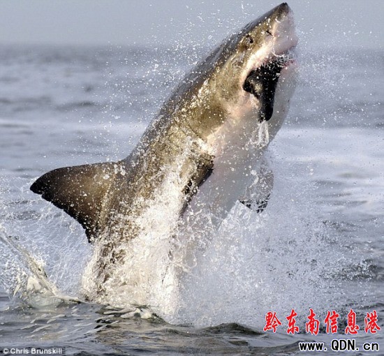 ������S��ˮ����_6��