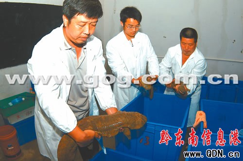 �����������l�r���˹��Bֳ�����~���D��