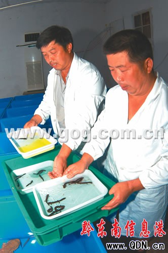 �����������l�r���˹��Bֳ�����~���D��