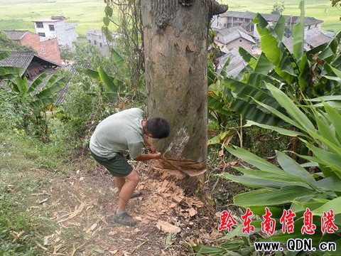 ǧ��Ř�u�u���� Σ������ȫ���M�D��